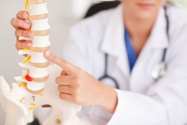 a doctor demonstrates a model of the spine